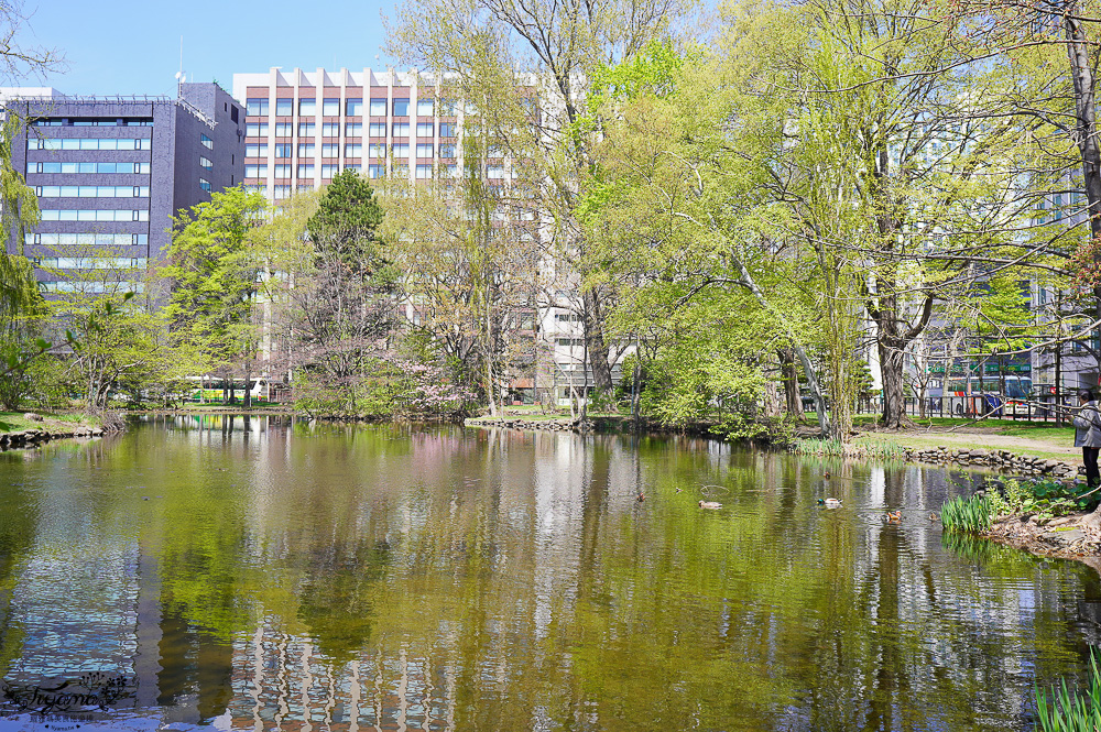 北海道札幌北海道都廳｜紅磚露臺 Akarenga Terrace：紅磚露臺免費展望台．各樓層美食介紹，漫遊修建中的北海道都廳 @緹雅瑪 美食旅遊趣
