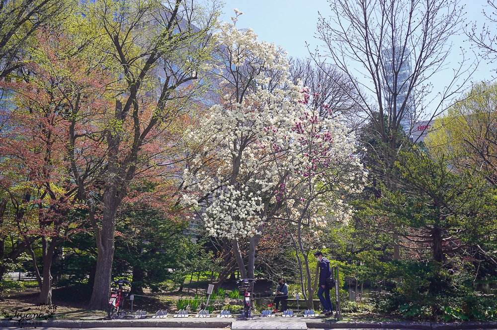 北海道札幌北海道都廳｜紅磚露臺 Akarenga Terrace：紅磚露臺免費展望台．各樓層美食介紹，漫遊修建中的北海道都廳 @緹雅瑪 美食旅遊趣