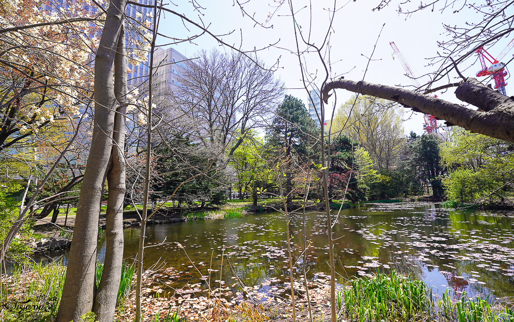 北海道札幌北海道都廳｜紅磚露臺 Akarenga Terrace：紅磚露臺免費展望台．各樓層美食介紹，漫遊修建中的北海道都廳 @緹雅瑪 美食旅遊趣