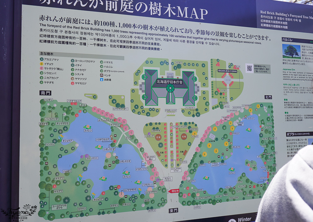 北海道札幌北海道都廳｜紅磚露臺 Akarenga Terrace：紅磚露臺免費展望台．各樓層美食介紹，漫遊修建中的北海道都廳 @緹雅瑪 美食旅遊趣