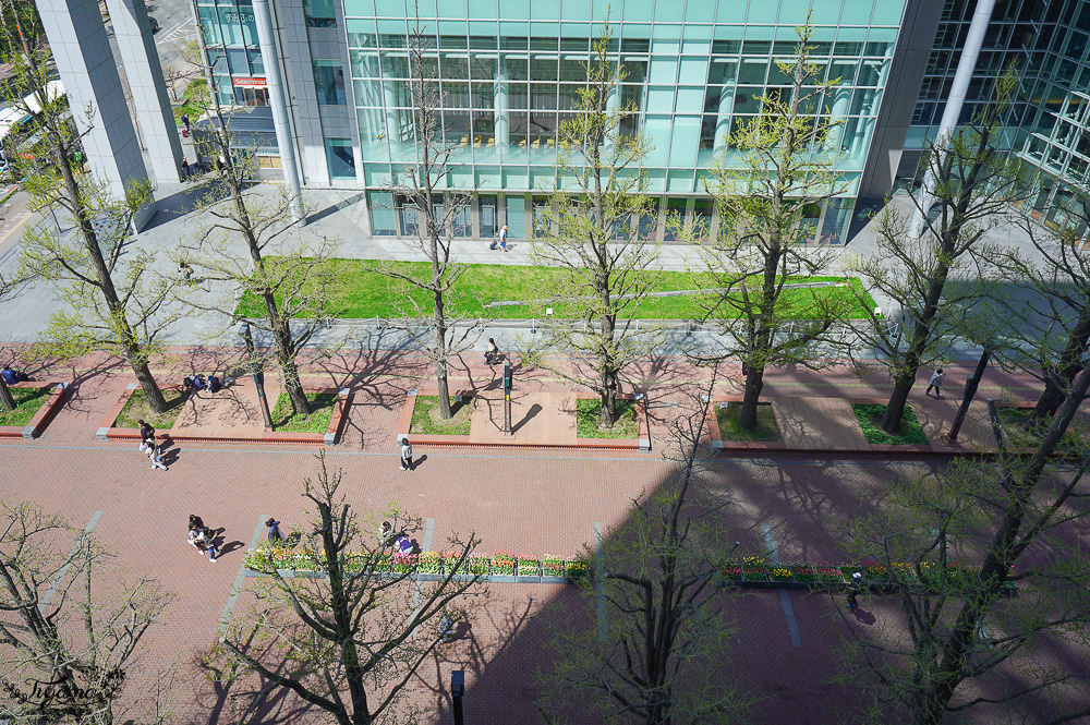 北海道札幌北海道都廳｜紅磚露臺 Akarenga Terrace：紅磚露臺免費展望台．各樓層美食介紹，漫遊修建中的北海道都廳 @緹雅瑪 美食旅遊趣