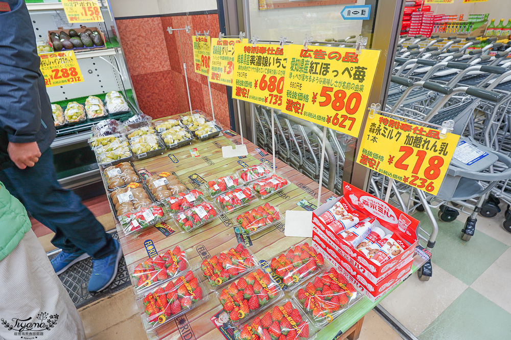 飛驒高山古川奧飛驒一日遊，飛驒高山白川3天2夜遊自駕之旅，第二天行程！新穗高空纜車、高山陣屋、飛驒古川 @緹雅瑪 美食旅遊趣