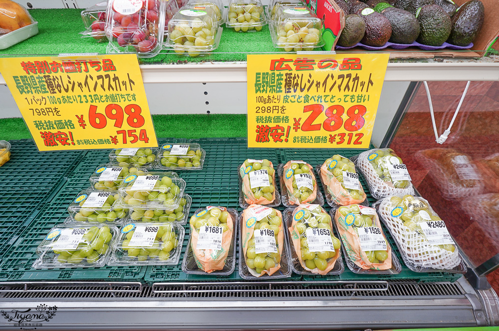 飛驒高山古川奧飛驒一日遊，飛驒高山白川3天2夜遊自駕之旅，第二天行程！新穗高空纜車、高山陣屋、飛驒古川 @緹雅瑪 美食旅遊趣