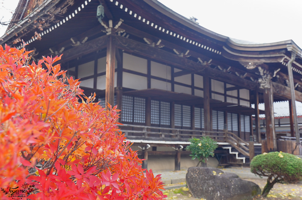 飛驒古川景點｜瀨戶川和白壁土藏街 城上町散策之旅！！ @緹雅瑪 美食旅遊趣