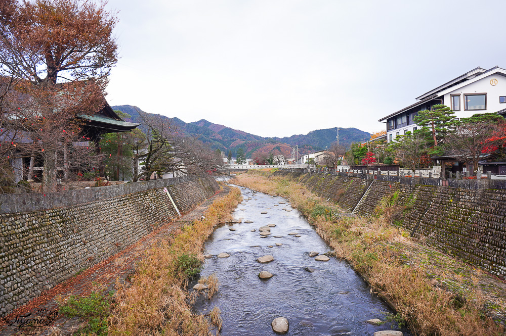 飛驒古川景點｜瀨戶川和白壁土藏街 城上町散策之旅！！ @緹雅瑪 美食旅遊趣