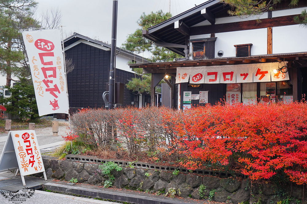 飛驒高山古川奧飛驒一日遊，飛驒高山白川3天2夜遊自駕之旅，第二天行程！新穗高空纜車、高山陣屋、飛驒古川 @緹雅瑪 美食旅遊趣