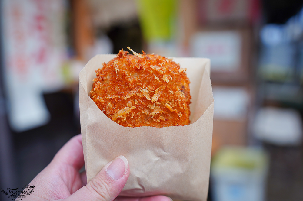 飛驒高山古川奧飛驒一日遊，飛驒高山白川3天2夜遊自駕之旅，第二天行程！新穗高空纜車、高山陣屋、飛驒古川 @緹雅瑪 美食旅遊趣