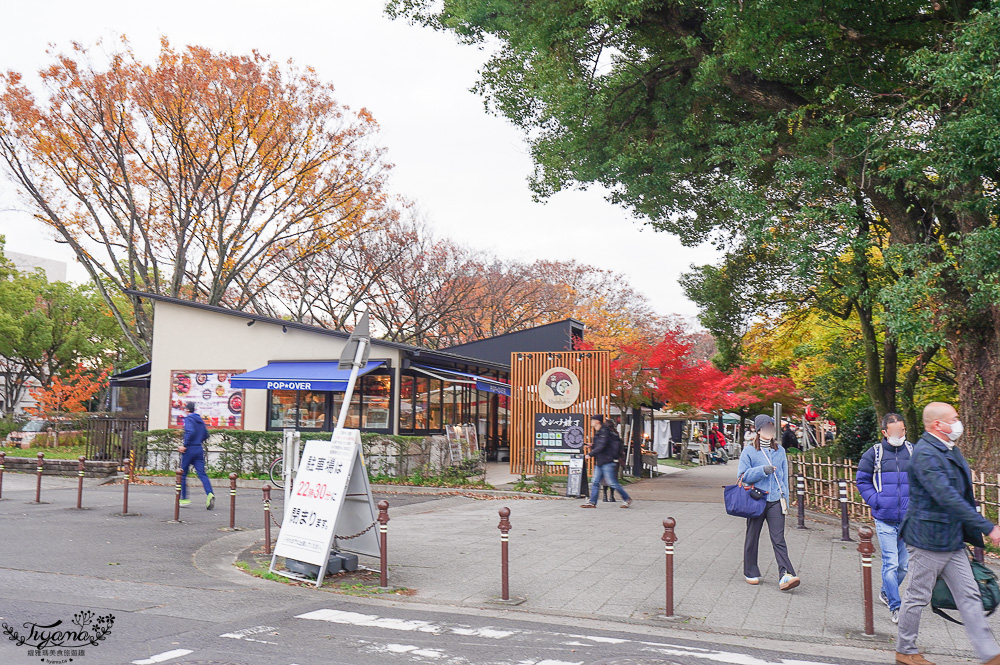 名古屋景點。名古屋城｜金鯱橫丁宗春：本丸御殿．名勝二之丸庭園．金シャチ横丁 宗春ゾーン．金鯱魚燒 @緹雅瑪 美食旅遊趣