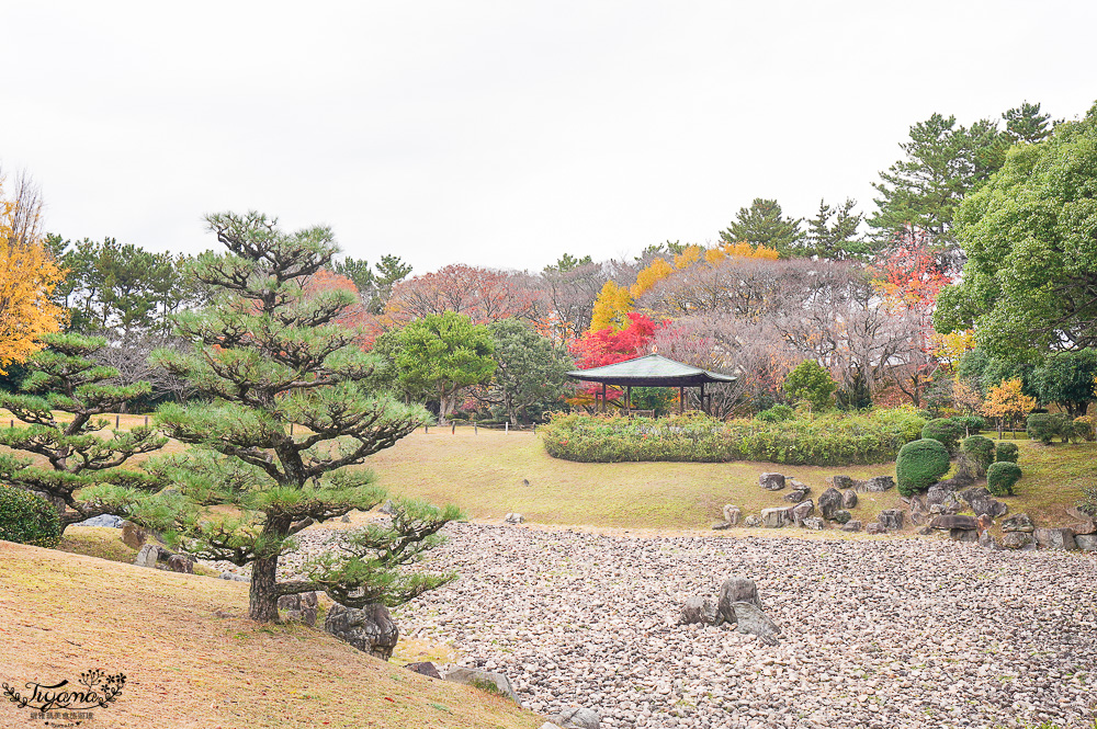 名古屋景點。名古屋城｜金鯱橫丁宗春：本丸御殿．名勝二之丸庭園．金シャチ横丁 宗春ゾーン．金鯱魚燒 @緹雅瑪 美食旅遊趣
