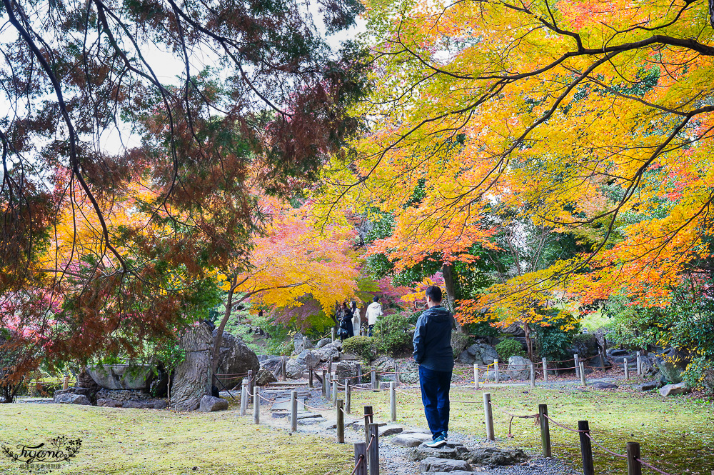 名古屋景點。名古屋城｜金鯱橫丁宗春：本丸御殿．名勝二之丸庭園．金シャチ横丁 宗春ゾーン．金鯱魚燒 @緹雅瑪 美食旅遊趣