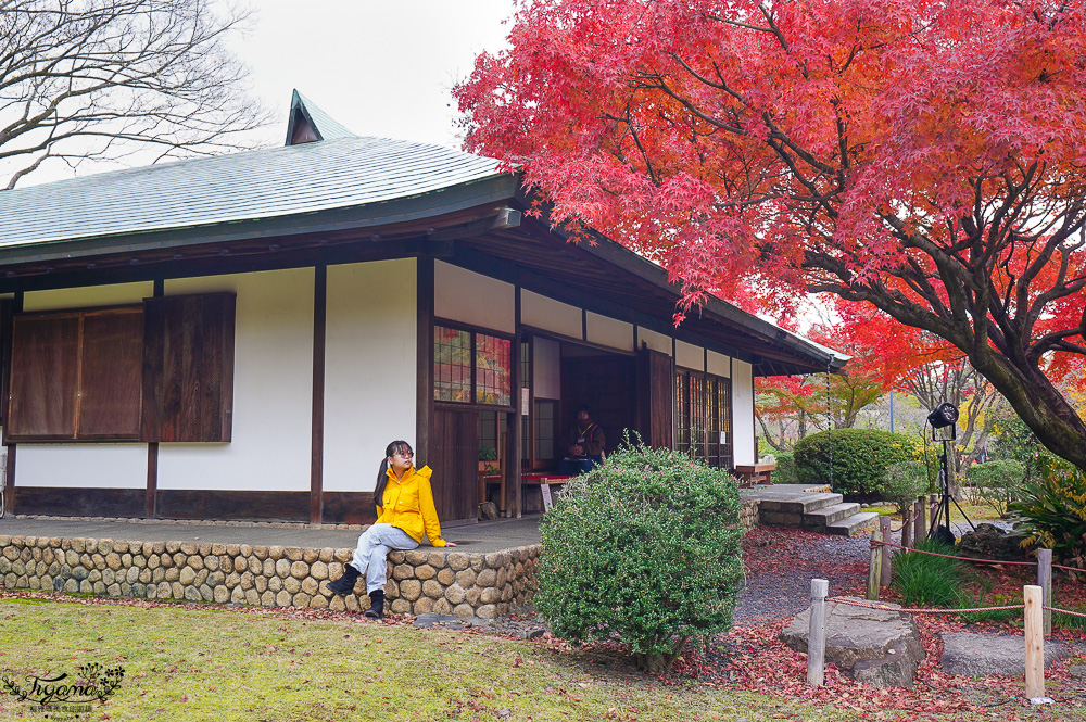 名古屋景點。名古屋城｜金鯱橫丁宗春：本丸御殿．名勝二之丸庭園．金シャチ横丁 宗春ゾーン．金鯱魚燒 @緹雅瑪 美食旅遊趣