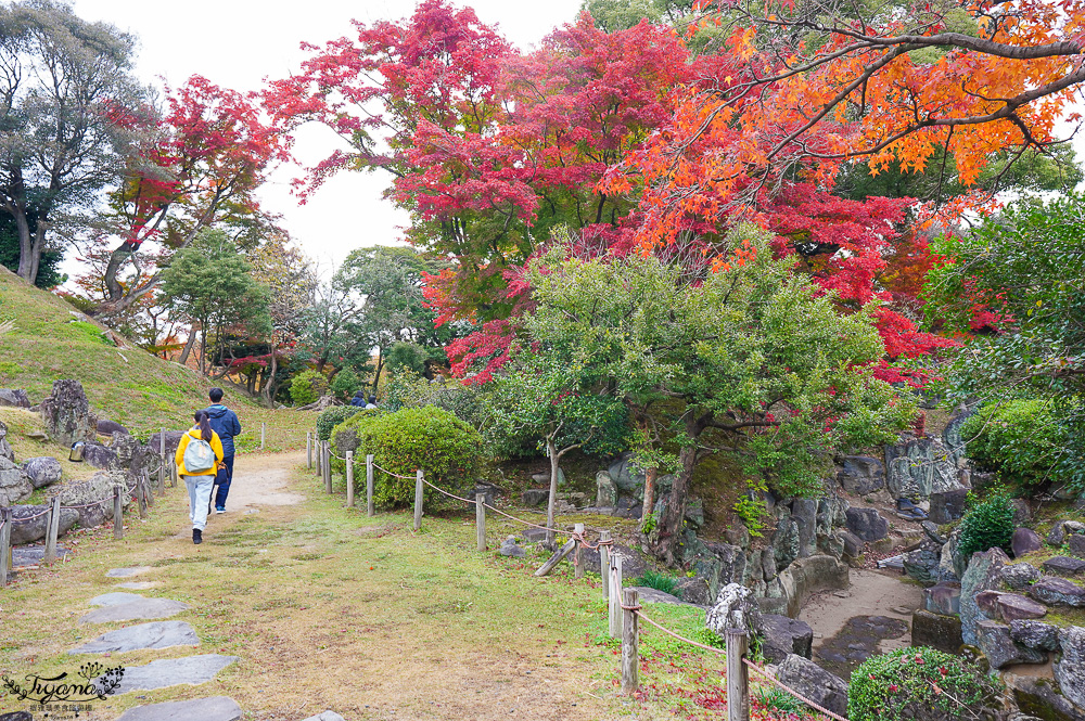 名古屋景點。名古屋城｜金鯱橫丁宗春：本丸御殿．名勝二之丸庭園．金シャチ横丁 宗春ゾーン．金鯱魚燒 @緹雅瑪 美食旅遊趣