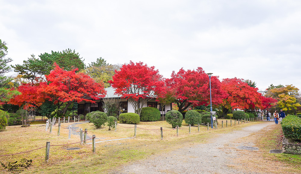 名古屋景點。名古屋城｜金鯱橫丁宗春：本丸御殿．名勝二之丸庭園．金シャチ横丁 宗春ゾーン．金鯱魚燒 @緹雅瑪 美食旅遊趣