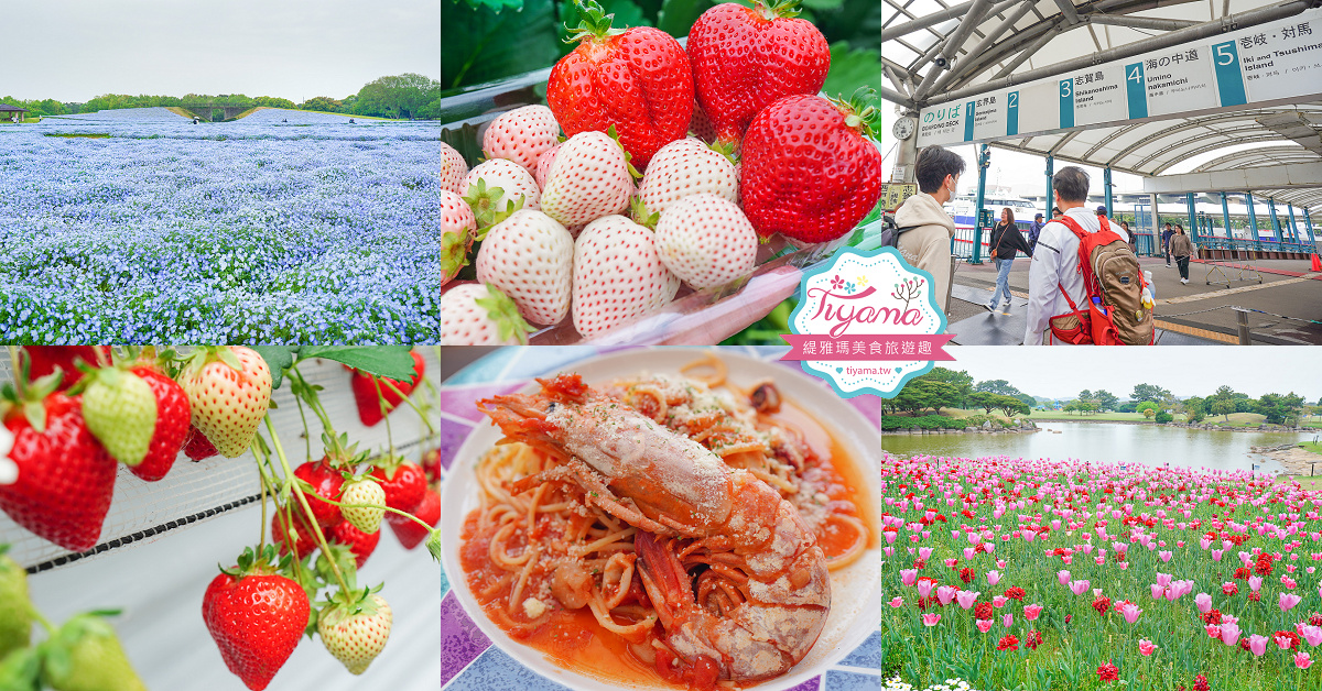 福岡海之中道海濱公園賞花採草莓一日遊！！海之中道海濱公園粉蝶花海.志賀島採草莓吃到飽.海景咖啡 @緹雅瑪 美食旅遊趣