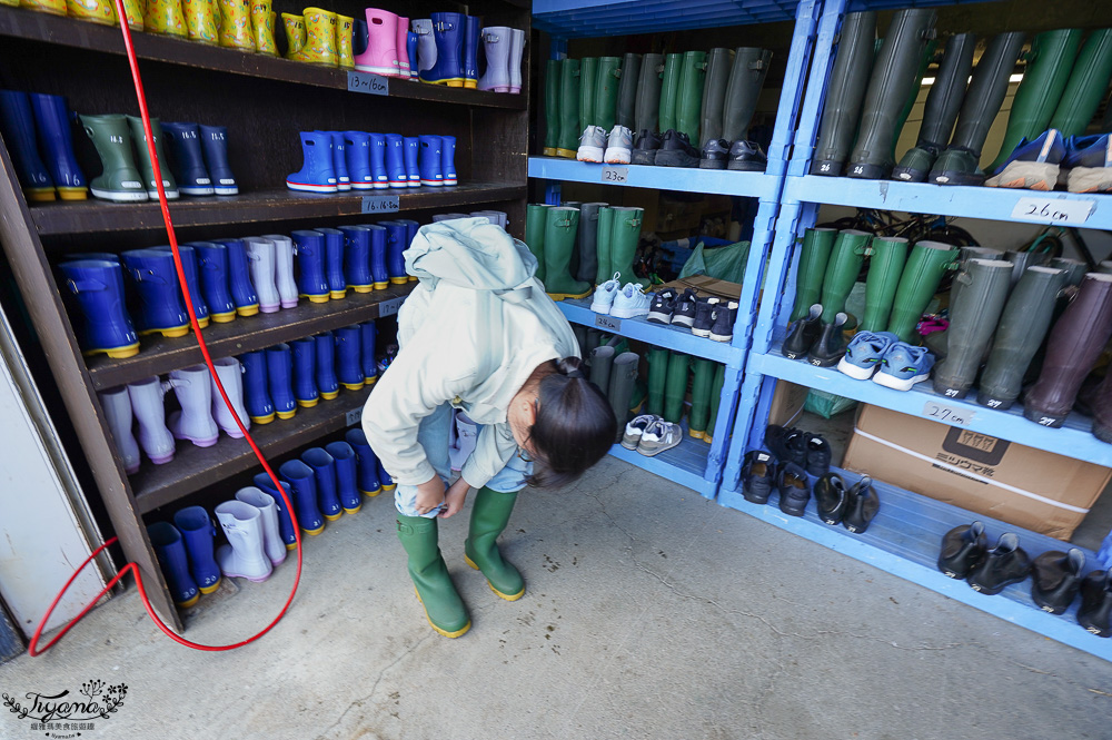 星野TOMAMU度假村星野農場好好玩！！四項必玩星野牧場活動，騎馬、熱氣球、卡丁車遊農園、農場小職人 @緹雅瑪 美食旅遊趣