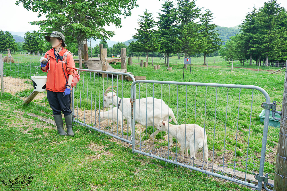 星野TOMAMU度假村星野農場好好玩！！四項必玩星野牧場活動，騎馬、熱氣球、卡丁車遊農園、農場小職人 @緹雅瑪 美食旅遊趣