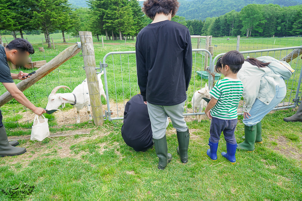 星野TOMAMU度假村星野農場好好玩！！四項必玩星野牧場活動，騎馬、熱氣球、卡丁車遊農園、農場小職人 @緹雅瑪 美食旅遊趣