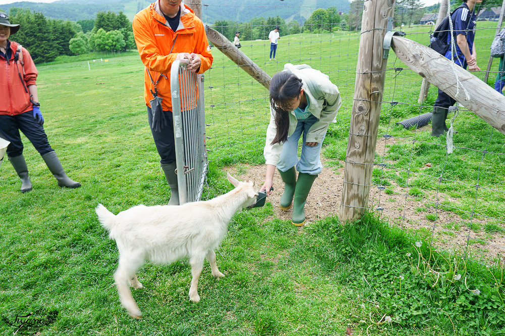 星野TOMAMU度假村星野農場好好玩！！四項必玩星野牧場活動，騎馬、熱氣球、卡丁車遊農園、農場小職人 @緹雅瑪 美食旅遊趣