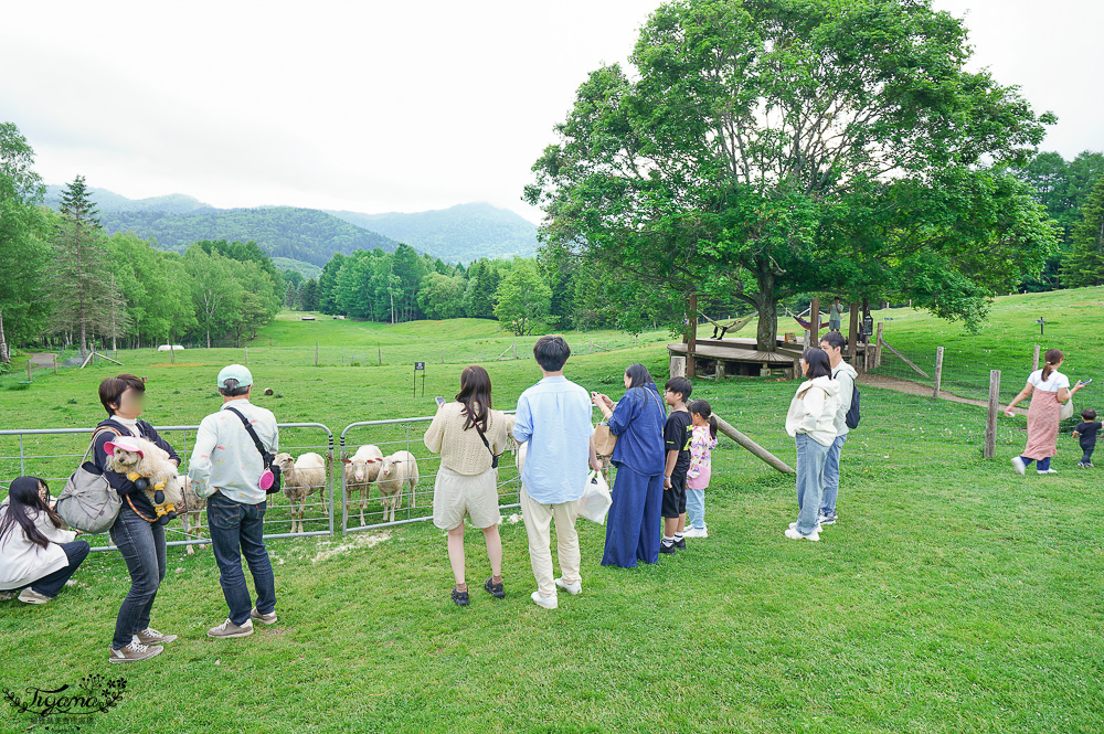 星野TOMAMU度假村星野農場好好玩！！四項必玩星野牧場活動，騎馬、熱氣球、卡丁車遊農園、農場小職人 @緹雅瑪 美食旅遊趣