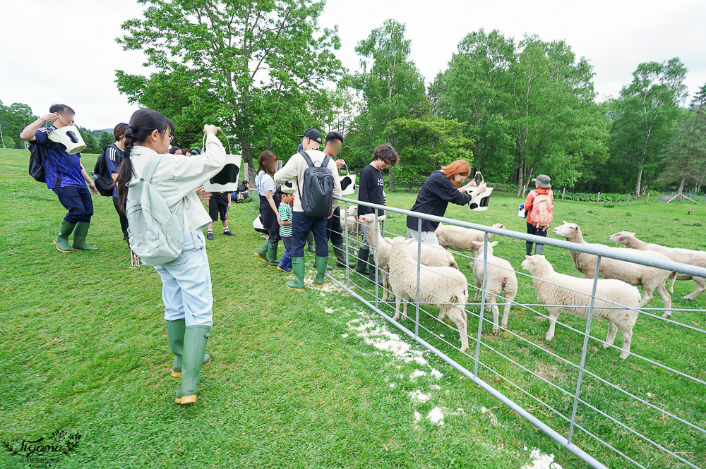 星野TOMAMU度假村星野農場好好玩！！四項必玩星野牧場活動，騎馬、熱氣球、卡丁車遊農園、農場小職人 @緹雅瑪 美食旅遊趣