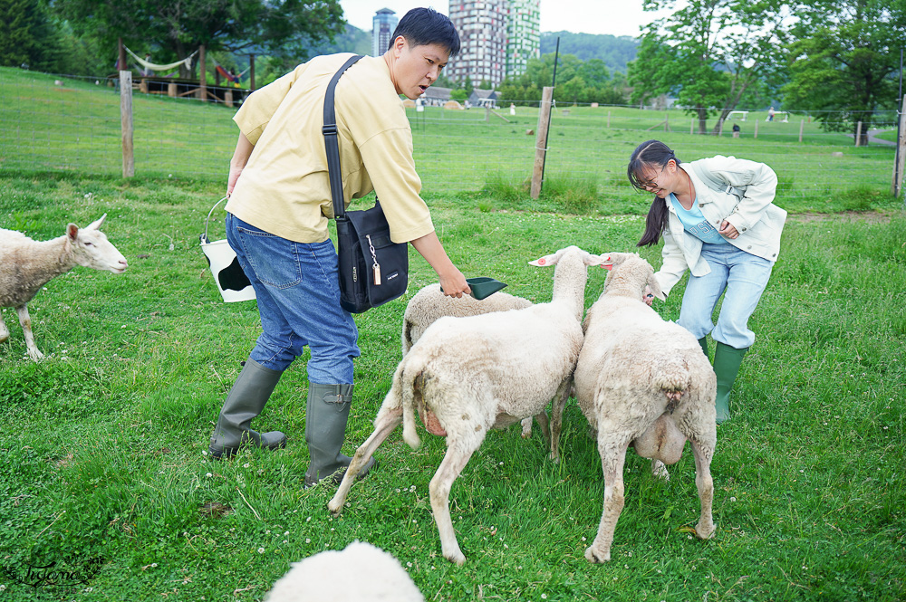 星野TOMAMU度假村星野農場好好玩！！四項必玩星野牧場活動，騎馬、熱氣球、卡丁車遊農園、農場小職人 @緹雅瑪 美食旅遊趣