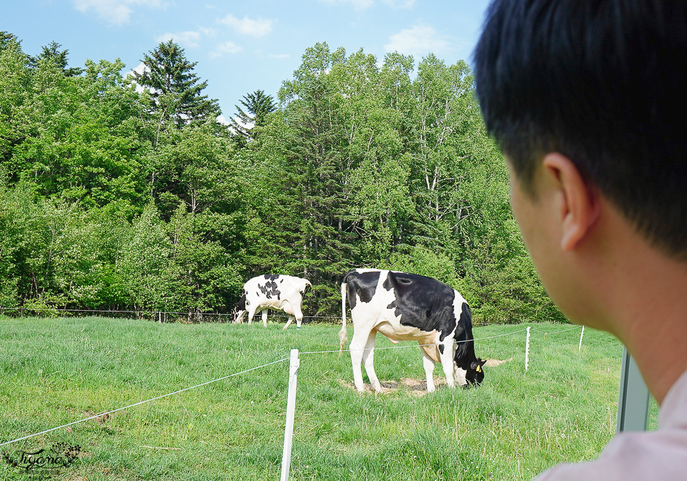 星野TOMAMU度假村星野農場好好玩！！四項必玩星野牧場活動，騎馬、熱氣球、卡丁車遊農園、農場小職人 @緹雅瑪 美食旅遊趣