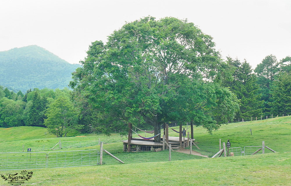 星野TOMAMU度假村星野農場好好玩！！四項必玩星野牧場活動，騎馬、熱氣球、卡丁車遊農園、農場小職人 @緹雅瑪 美食旅遊趣