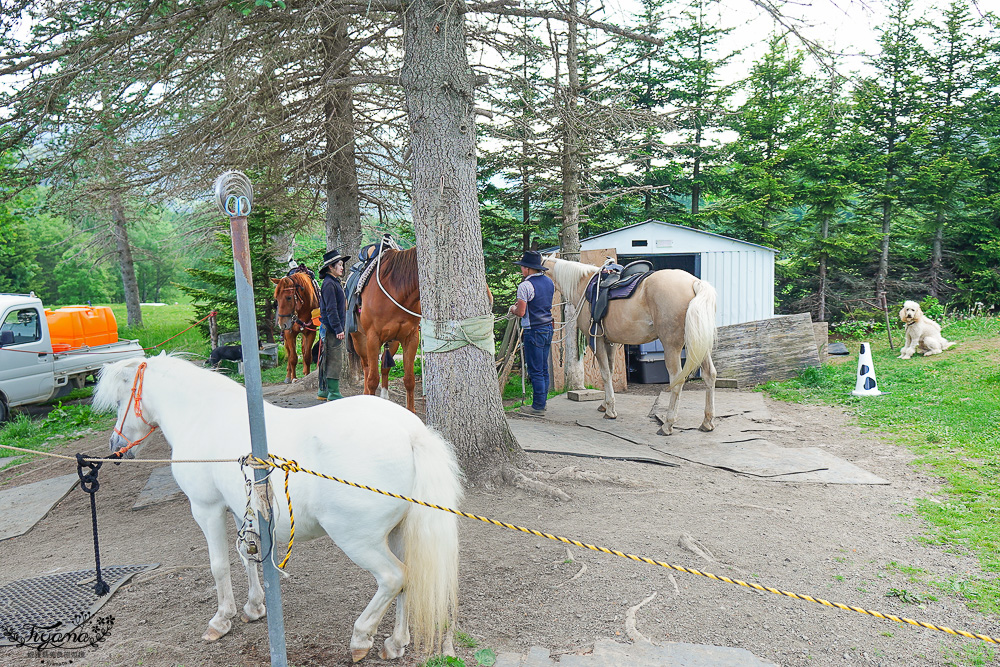 星野TOMAMU度假村星野農場好好玩！！四項必玩星野牧場活動，騎馬、熱氣球、卡丁車遊農園、農場小職人 @緹雅瑪 美食旅遊趣