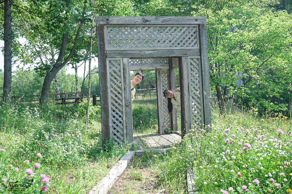 北海道美瑛住宿｜緩慢北海道 Adagio Hokkaido：本館、Villa包棟，住宿送美味早餐，美瑛青池附近住宿推薦 @緹雅瑪 美食旅遊趣