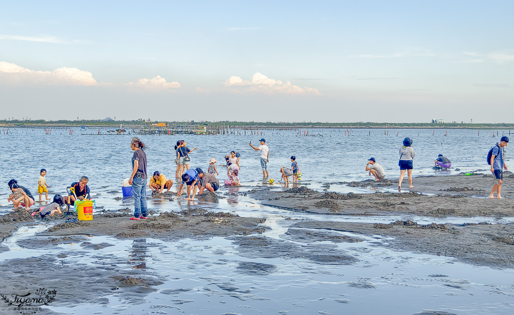 王功鐵牛車．王功採蚵車｜彩雲王功潮間帶之旅：搭採蚵車、挖蛤蜊玩水、烤鮮蚵吃到飽！大人200、兒童100、幼兒免費 @緹雅瑪 美食旅遊趣