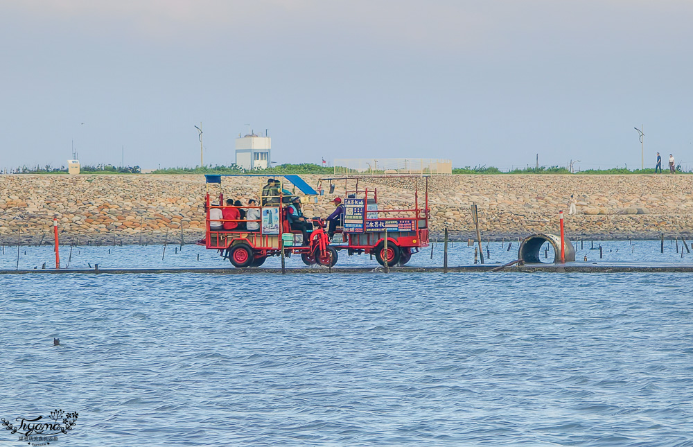 王功鐵牛車．王功採蚵車｜彩雲王功潮間帶之旅：搭採蚵車、挖蛤蜊玩水、烤鮮蚵吃到飽！大人200、兒童100、幼兒免費 @緹雅瑪 美食旅遊趣
