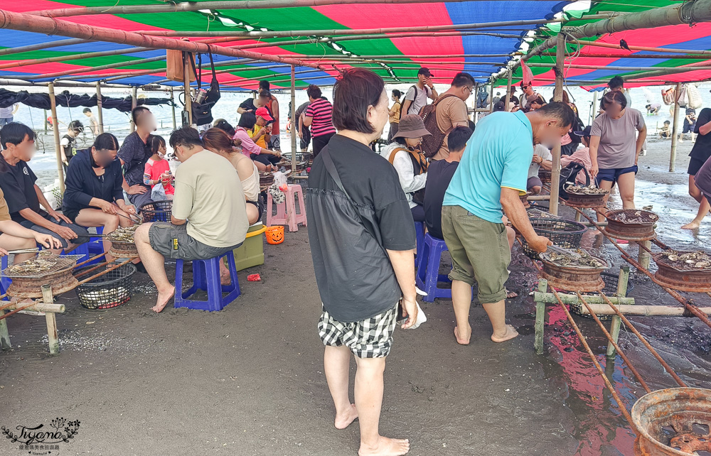 王功鐵牛車．王功採蚵車｜彩雲王功潮間帶之旅：搭採蚵車、挖蛤蜊玩水、烤鮮蚵吃到飽！大人200、兒童100、幼兒免費 @緹雅瑪 美食旅遊趣