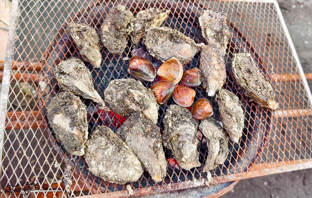 王功鐵牛車．王功採蚵車｜彩雲王功潮間帶之旅：搭採蚵車、挖蛤蜊玩水、烤鮮蚵吃到飽！大人200、兒童100、幼兒免費 @緹雅瑪 美食旅遊趣