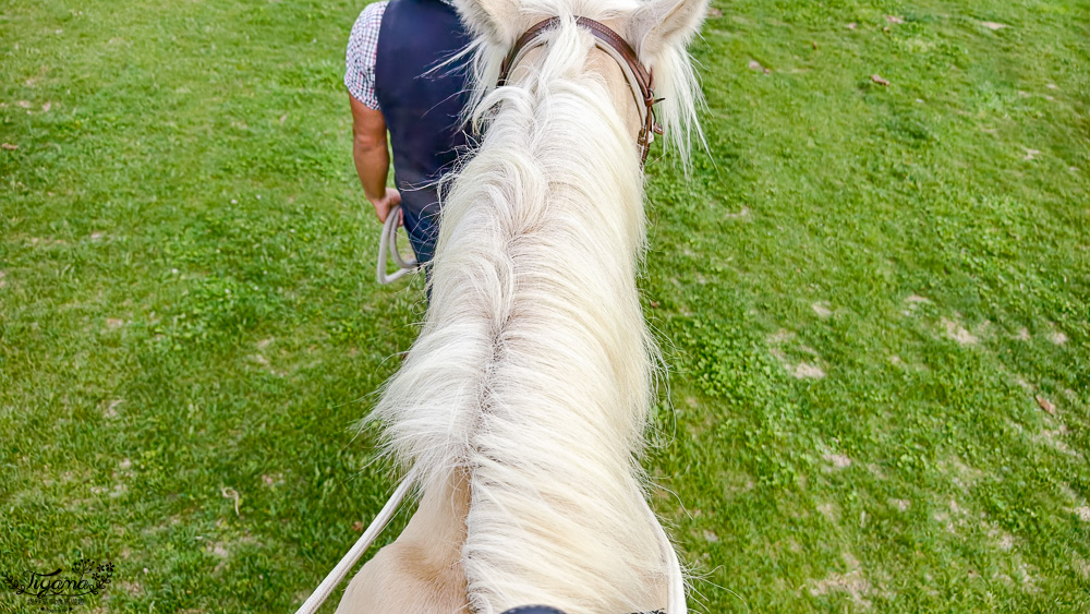 星野TOMAMU度假村星野農場好好玩！！四項必玩星野牧場活動，騎馬、熱氣球、卡丁車遊農園、農場小職人 @緹雅瑪 美食旅遊趣