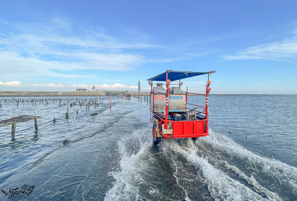 王功鐵牛車．王功採蚵車｜彩雲王功潮間帶之旅：搭採蚵車、挖蛤蜊玩水、烤鮮蚵吃到飽！大人200、兒童100、幼兒免費 @緹雅瑪 美食旅遊趣