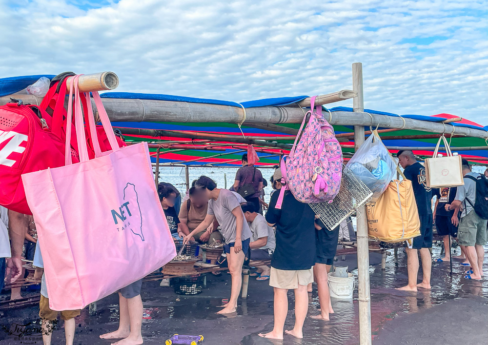 王功鐵牛車．王功採蚵車｜彩雲王功潮間帶之旅：搭採蚵車、挖蛤蜊玩水、烤鮮蚵吃到飽！大人200、兒童100、幼兒免費 @緹雅瑪 美食旅遊趣