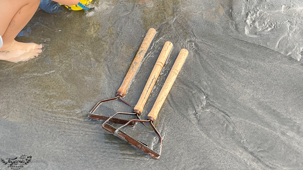 王功鐵牛車．王功採蚵車｜彩雲王功潮間帶之旅：搭採蚵車、挖蛤蜊玩水、烤鮮蚵吃到飽！大人200、兒童100、幼兒免費 @緹雅瑪 美食旅遊趣