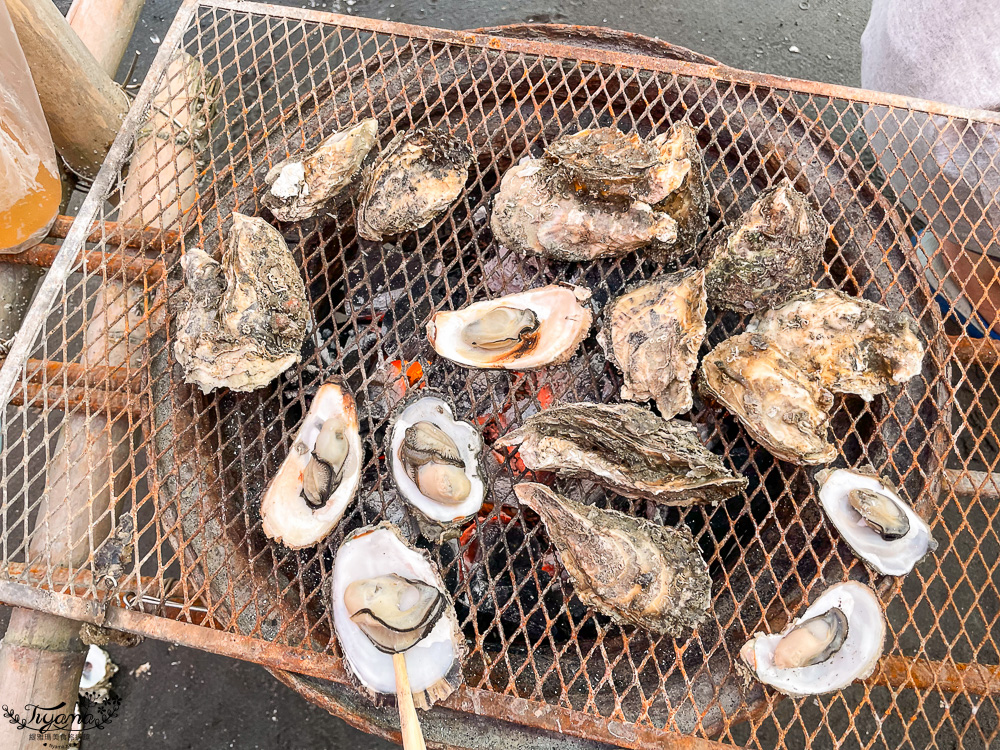 王功鐵牛車．王功採蚵車｜彩雲王功潮間帶之旅：搭採蚵車、挖蛤蜊玩水、烤鮮蚵吃到飽！大人200、兒童100、幼兒免費 @緹雅瑪 美食旅遊趣