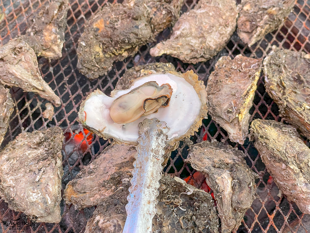 王功鐵牛車．王功採蚵車｜彩雲王功潮間帶之旅：搭採蚵車、挖蛤蜊玩水、烤鮮蚵吃到飽！大人200、兒童100、幼兒免費 @緹雅瑪 美食旅遊趣