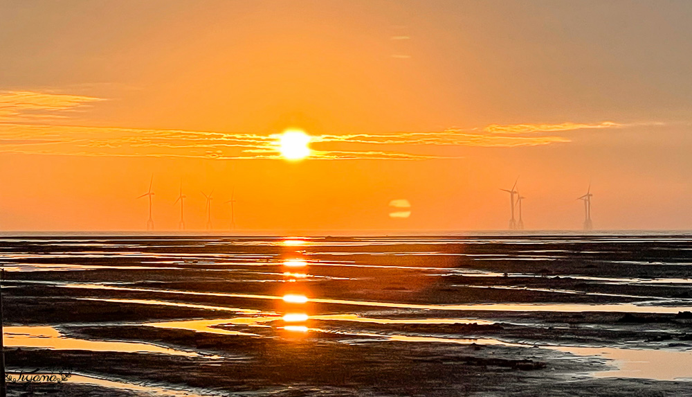 王功鐵牛車．王功採蚵車｜彩雲王功潮間帶之旅：搭採蚵車、挖蛤蜊玩水、烤鮮蚵吃到飽！大人200、兒童100、幼兒免費 @緹雅瑪 美食旅遊趣