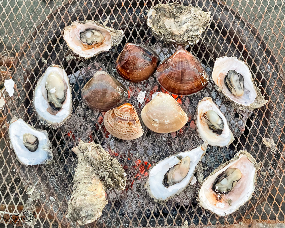 王功鐵牛車．王功採蚵車｜彩雲王功潮間帶之旅：搭採蚵車、挖蛤蜊玩水、烤鮮蚵吃到飽！大人200、兒童100、幼兒免費 @緹雅瑪 美食旅遊趣
