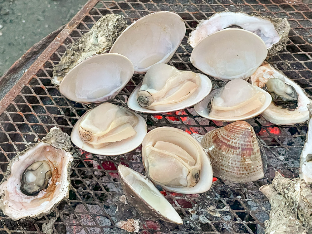 王功鐵牛車．王功採蚵車｜彩雲王功潮間帶之旅：搭採蚵車、挖蛤蜊玩水、烤鮮蚵吃到飽！大人200、兒童100、幼兒免費 @緹雅瑪 美食旅遊趣