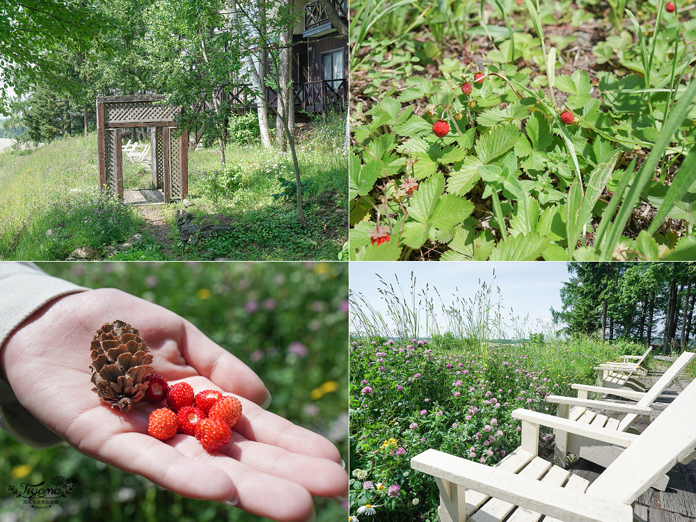 北海道美瑛住宿｜緩慢北海道 Adagio Hokkaido：本館、Villa包棟，住宿送美味早餐，美瑛青池附近住宿推薦 @緹雅瑪 美食旅遊趣
