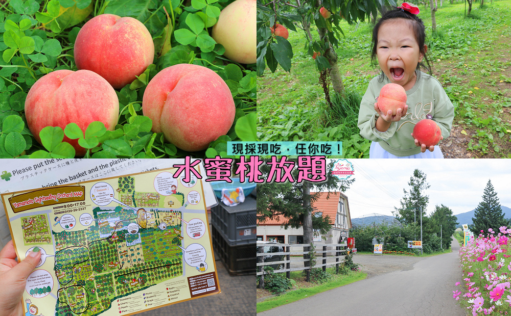 北海道夕張哈蜜瓜吃到飽｜JA夕張市 メロンドーム｜JA Yubari City Melon Dome，預約制夕張哈蜜瓜放題 @緹雅瑪 美食旅遊趣