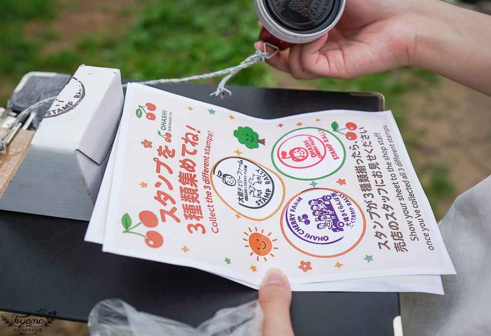 北海道採櫻桃吃到飽「大橋櫻桃果園」現採現吃櫻桃放題！！北海道採果樂實現櫻桃自由 @緹雅瑪 美食旅遊趣