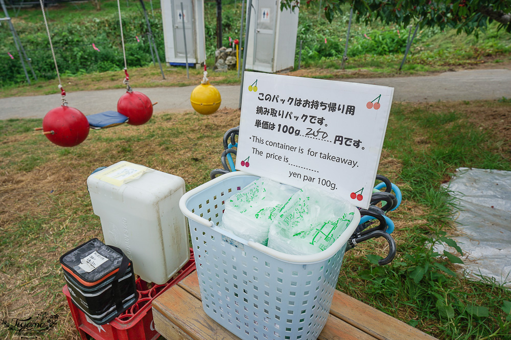 北海道採櫻桃吃到飽「大橋櫻桃果園」現採現吃櫻桃放題！！北海道採果樂實現櫻桃自由 @緹雅瑪 美食旅遊趣