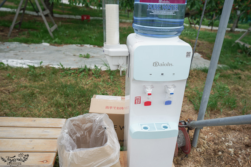 北海道採櫻桃吃到飽「大橋櫻桃果園」現採現吃櫻桃放題！！北海道採果樂實現櫻桃自由 @緹雅瑪 美食旅遊趣