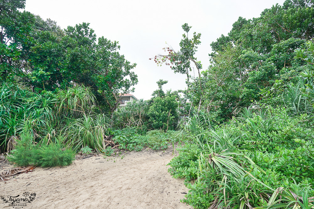 石垣島住宿推薦「星野集團 西表島飯店」世界自然遺產島嶼與珍稀野生動物共存的渡假勝地 @緹雅瑪 美食旅遊趣