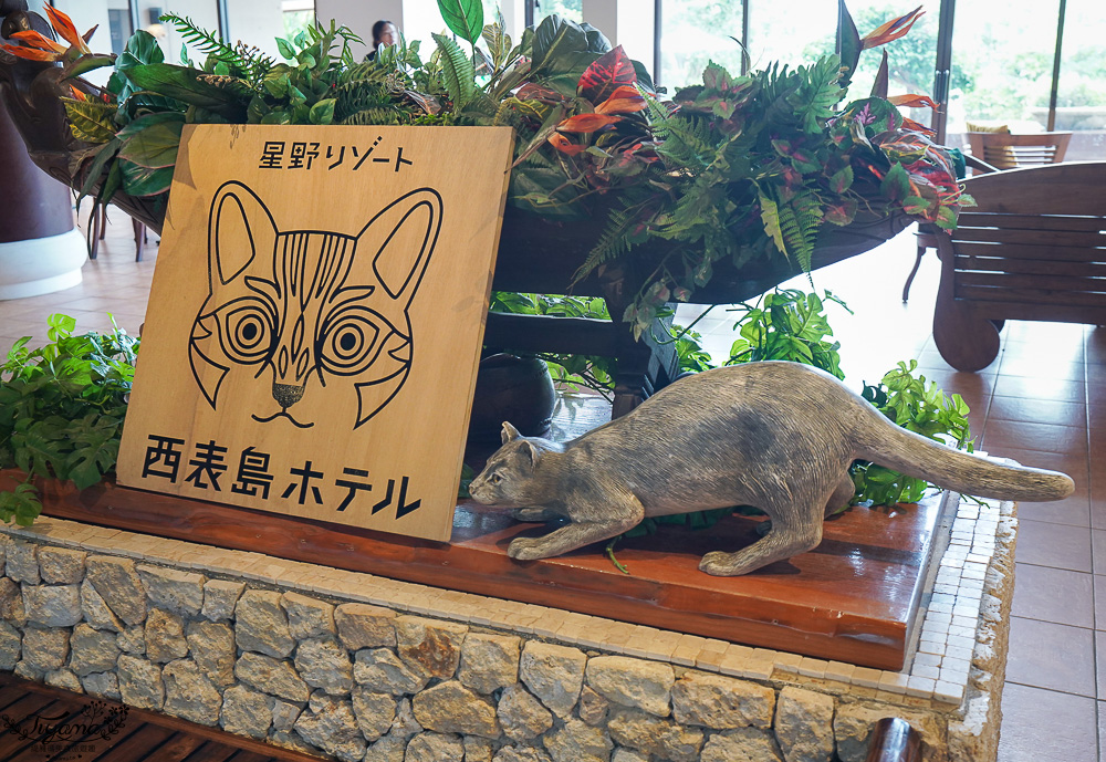 石垣島住宿推薦「星野集團 西表島飯店」世界自然遺產島嶼與珍稀野生動物共存的渡假勝地 @緹雅瑪 美食旅遊趣