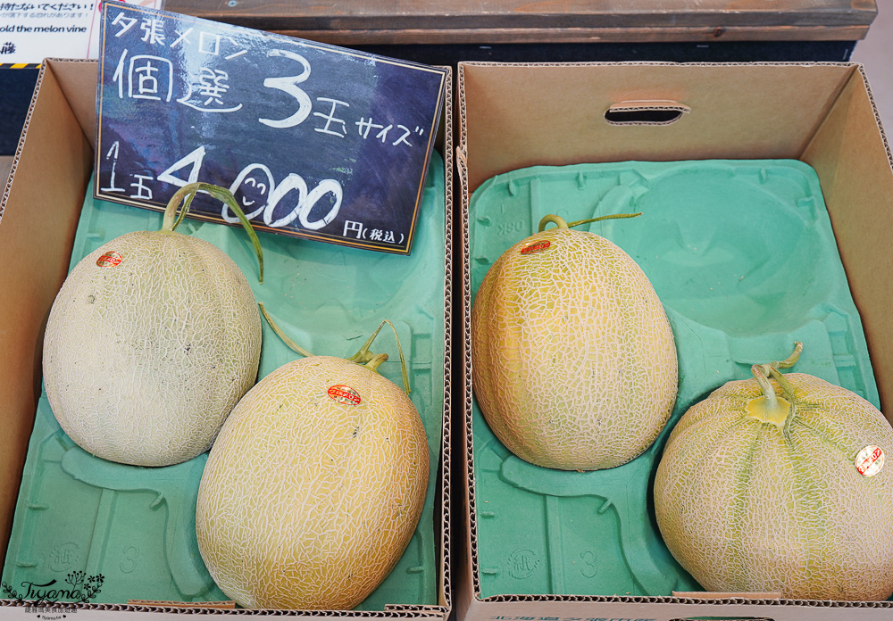 北海道夕張哈蜜瓜吃到飽｜JA夕張市 メロンドーム｜JA Yubari City Melon Dome，預約制夕張哈蜜瓜放題 @緹雅瑪 美食旅遊趣